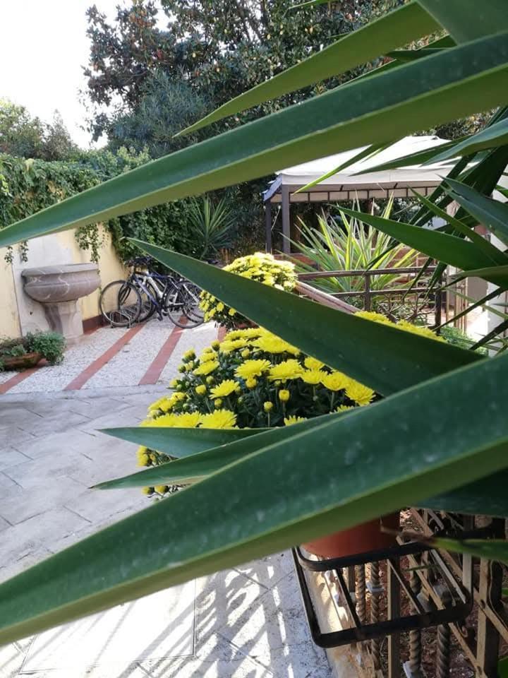פלרמו Villa Antonella Rooms Mondello מראה חיצוני תמונה
